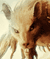Gesser's Avatar