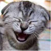 Miles Standoffish's Avatar