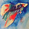 Spak's Avatar